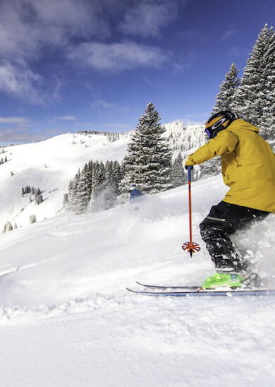 Two skiers descending a snowy mountain slope surrounded by snow-covered trees under a clear blue sky.