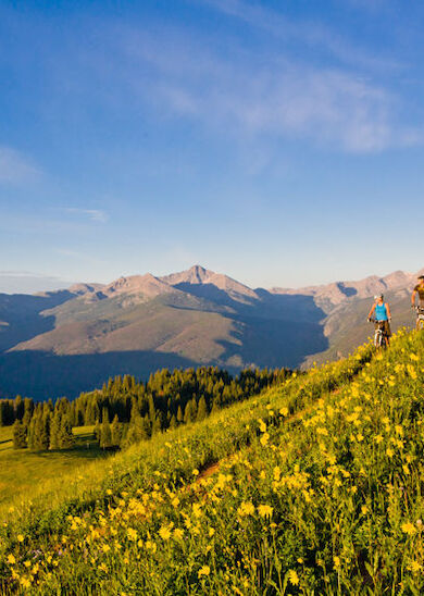 Two cyclists ride along a scenic hillside, surrounded by wildflowers under a clear blue sky, with mountains in the background ending the sentence.