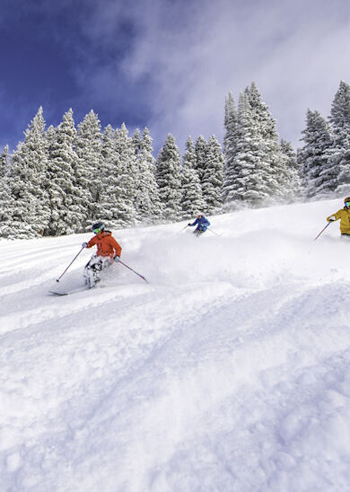 Three skiers are descending a snowy slope surrounded by snow-covered trees under a partly cloudy sky.