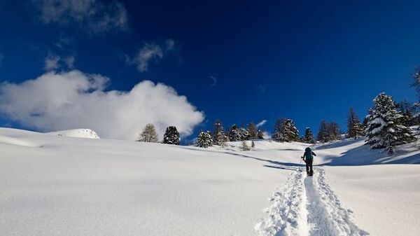 A person is walking on a snow-covered trail surrounded by trees, under a clear blue sky with some clouds.