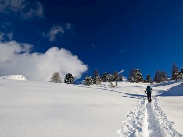 A person is walking on a snow-covered trail surrounded by trees, under a clear blue sky with some clouds.