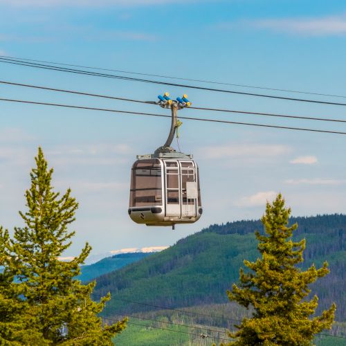 A cable car is suspended above the trees with a mountain landscape in the background, under a blue sky with a few scattered clouds.