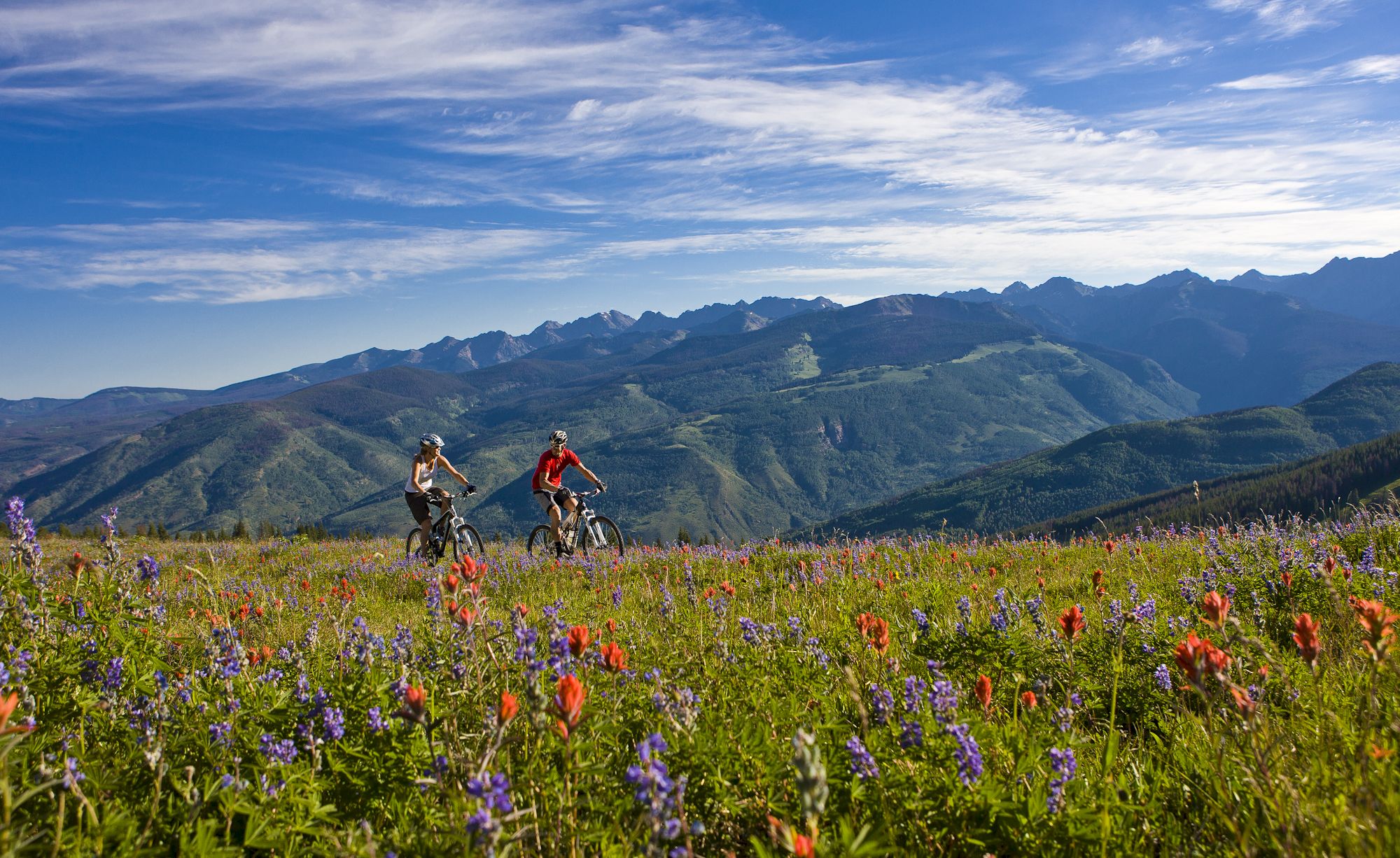 Two people are mountain biking through a field of colorful wildflowers with a backdrop of majestic mountains under a bright, partly cloudy sky.